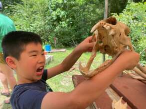 Identifying that Animal