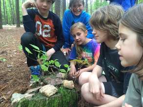 Building a snail habitat