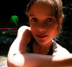 Observing insects up close and personal at Umstead