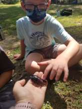 Observing a cockroach