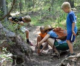 Looking for Tracks in the Mud