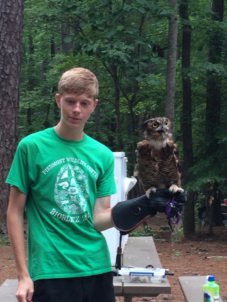 Connect a child to Nature through a Week of Camp!