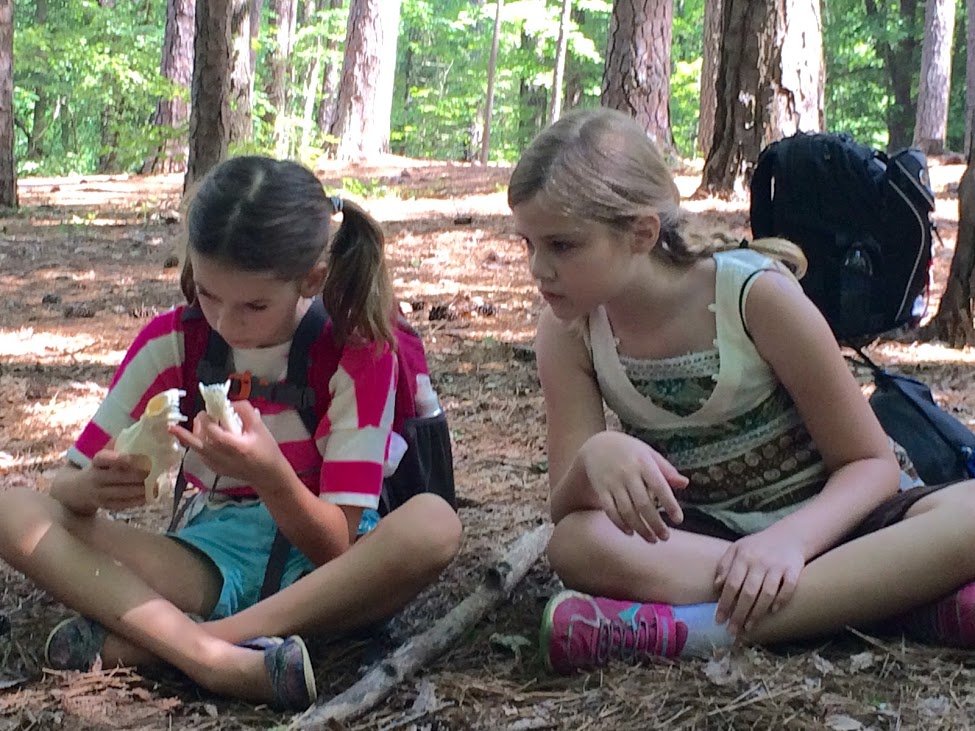 Connect a child to Nature through a Week of Camp!