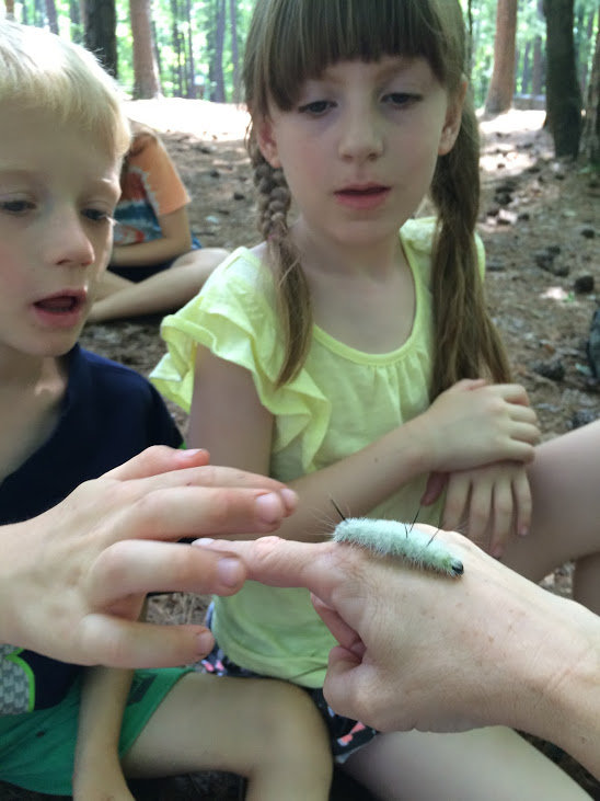 Connect a child to Nature through a Week of Camp!