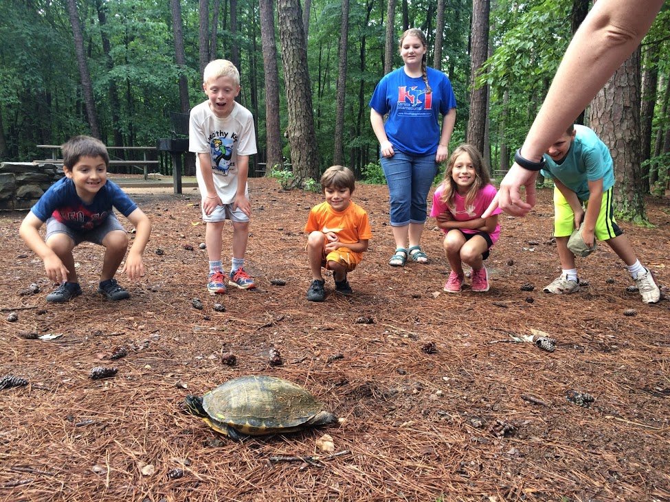 Connect a child to Nature through a Week of Camp!