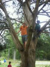 Climbing trees is fun!