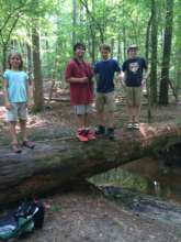 Just what we need to cross the stream