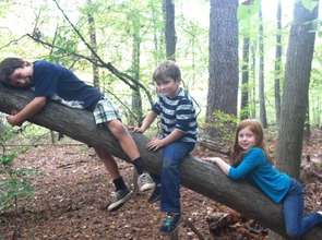 It Feels Great Hugging a Tree!