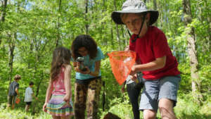 Alex searching his net for creek critters