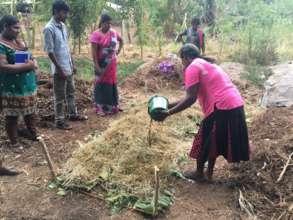 Unpopular the water with cattle dung for compost