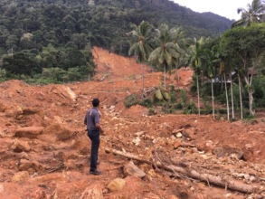 Aftermath of an extensive landslide