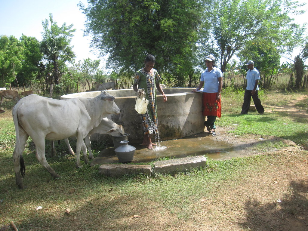Livelihood Assitance in Sri Lanka