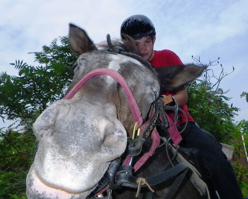 Camp Shout Out: Celebration