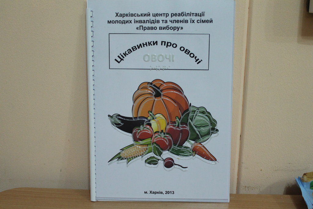 Study Braille Books International Experience