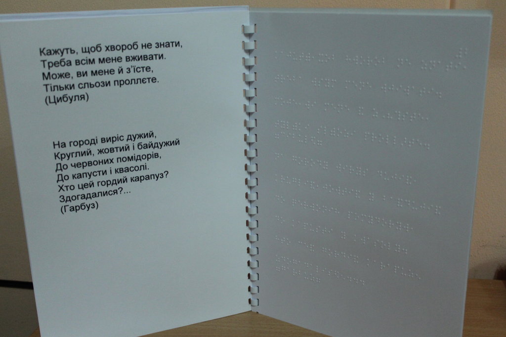 Study Braille Books International Experience