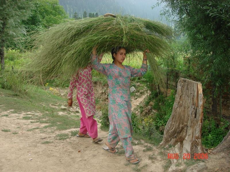 Village Learning Centers for 5000 Beneficiaries