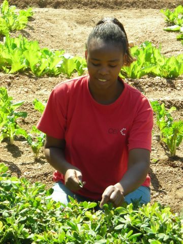 Photo-- House mother working in garden