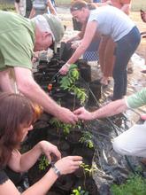 Our us visitors tree planting