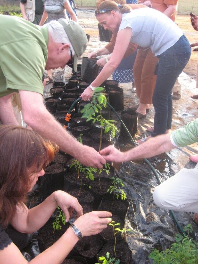 Build a new life for 12 orphans in South Africa