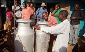 EADD II Milk Delivery