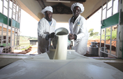 EADD II - East Africa Dairy Development Phase II