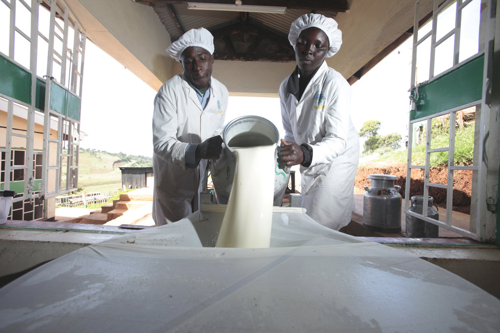 EADD II - East Africa Dairy Development Phase II