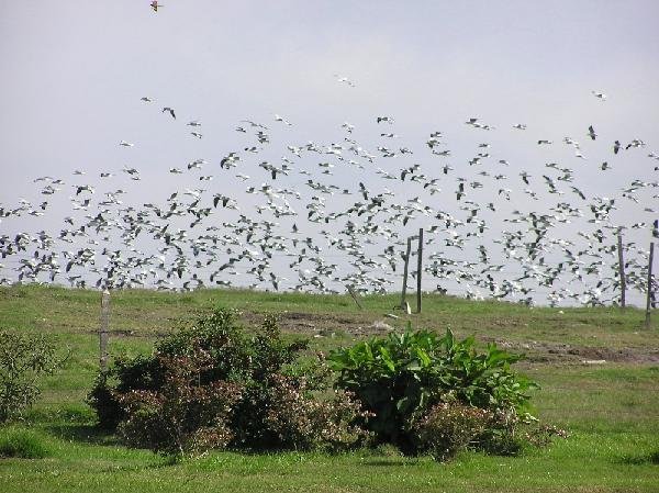 Internships on Environmental Education