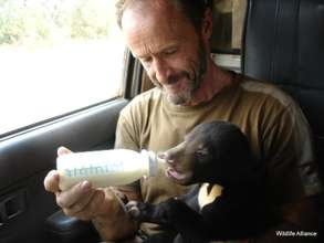 The WRRT rescues dozens of bear cubs