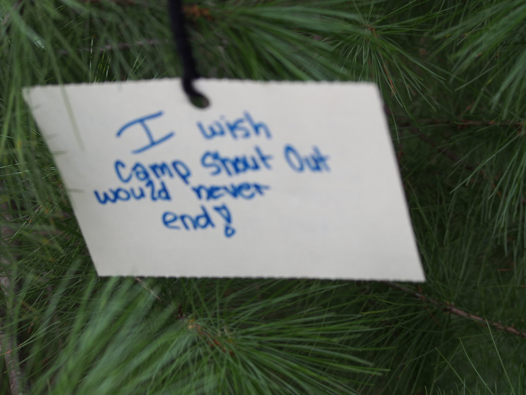 Camp Shout Out: Let's Tell Our Story