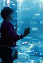 Seaquarium