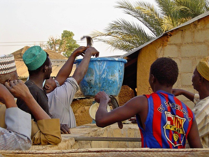 Create jobs, raise fish, change lives