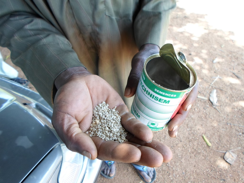 Raise crops, feed our village, transform lives