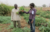 Raise crops, feed our village, transform lives