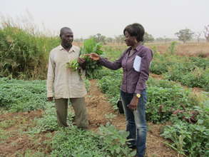 Raise crops, feed our village, transform lives