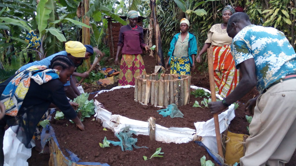 Creating a nutritious kitchen garden