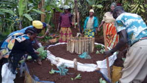 Creating a nutritious kitchen garden