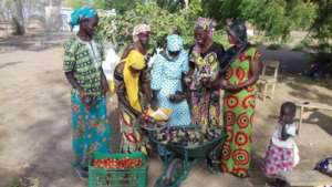 Women in Walo happy with their harvest