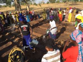 Watering the prepared soil.