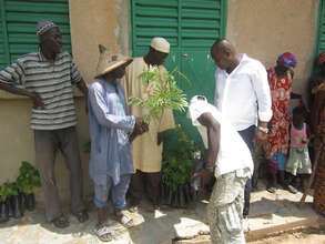 Community members planted several tree varieties