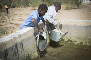 School boys in Darou Diadji help water the garden.