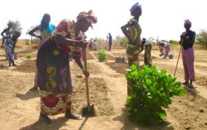 Seynabou helps prepare garden beds for planting