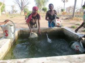 Cooperative members gather water from a cistern