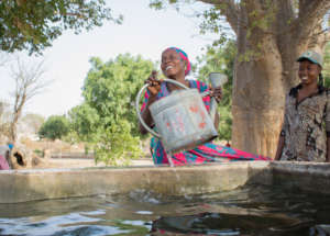 Clean water always puts a smile on their faces
