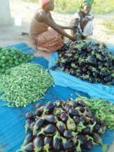 Women with their diverse vegetable harvest