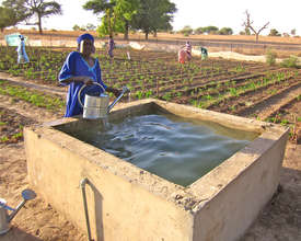 Water Basins in the Thieneba Cooperative Garden