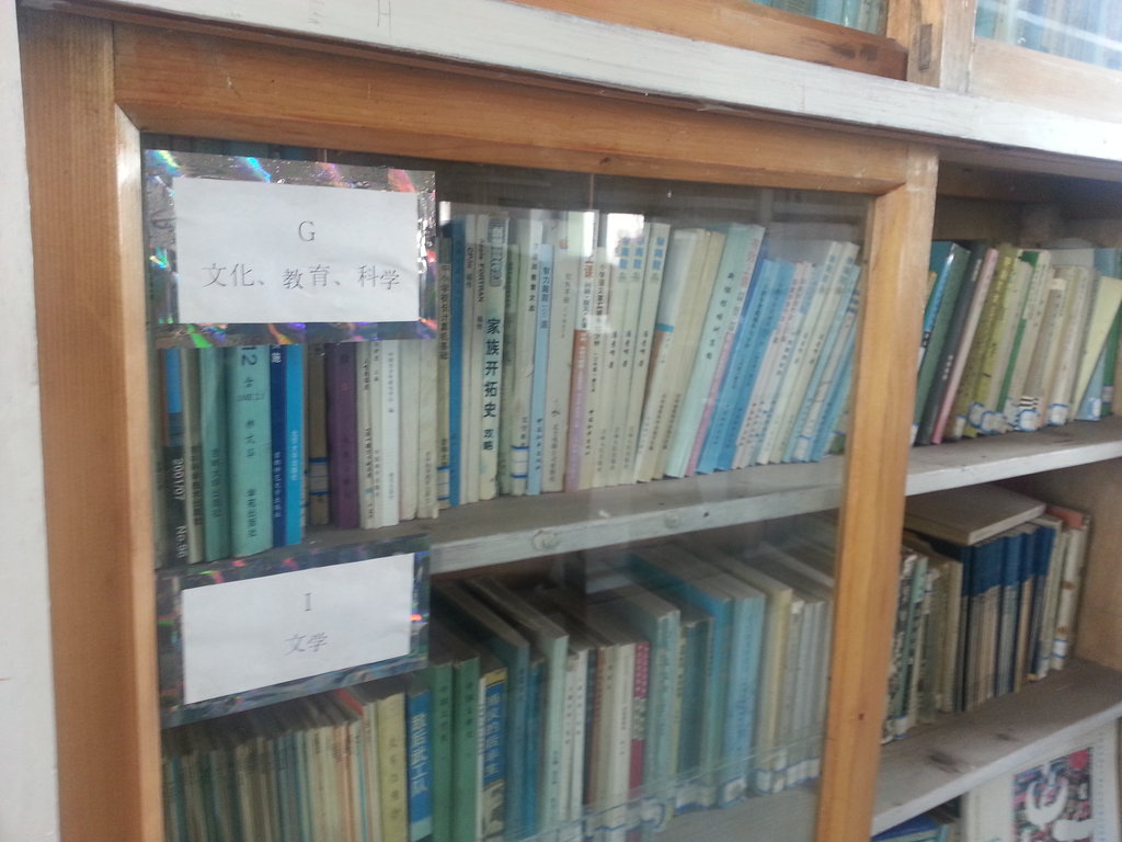 Help Shiyidaogou Rural School Build a Mini Library