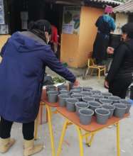 Fanesca for the elderly