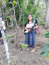 Elderly helping plant trees