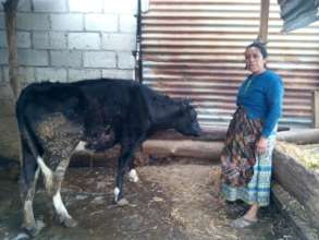 Plan Moo sustainable plan