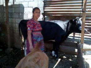 Plan Moo